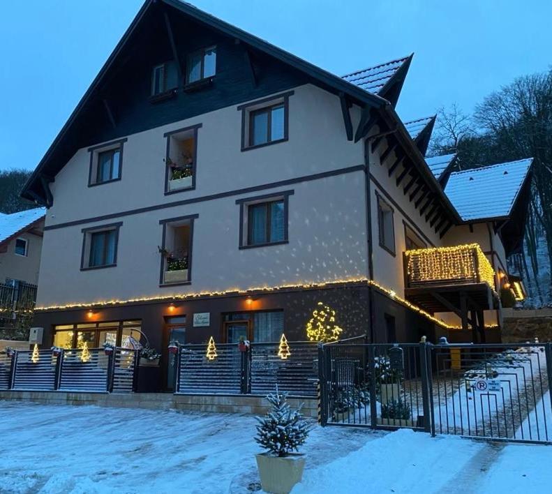 Silvan Villa - Apart Sighişoara Exteriör bild