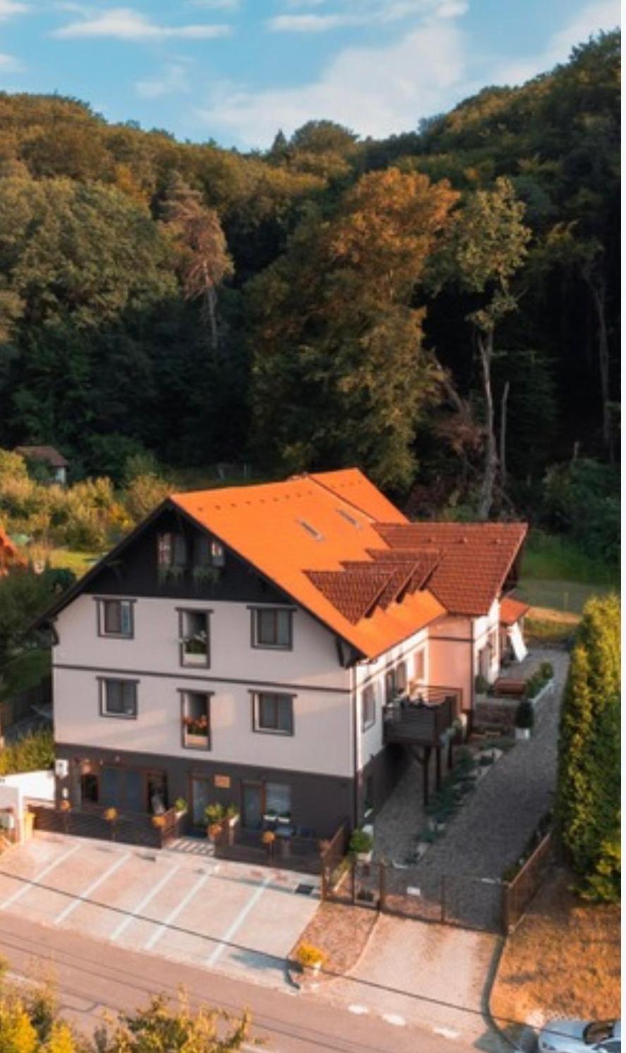 Silvan Villa - Apart Sighişoara Exteriör bild